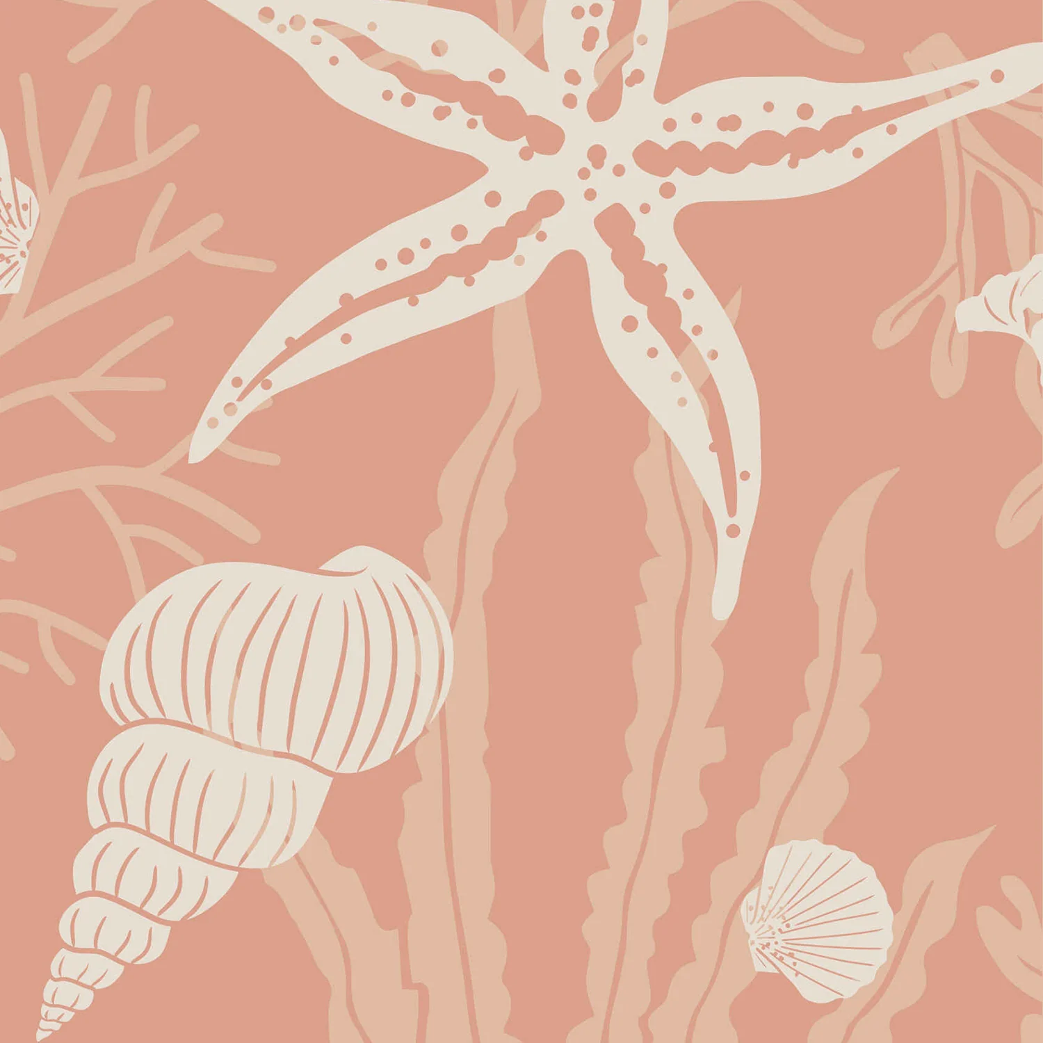 Shells Cantaloupe - Image 3