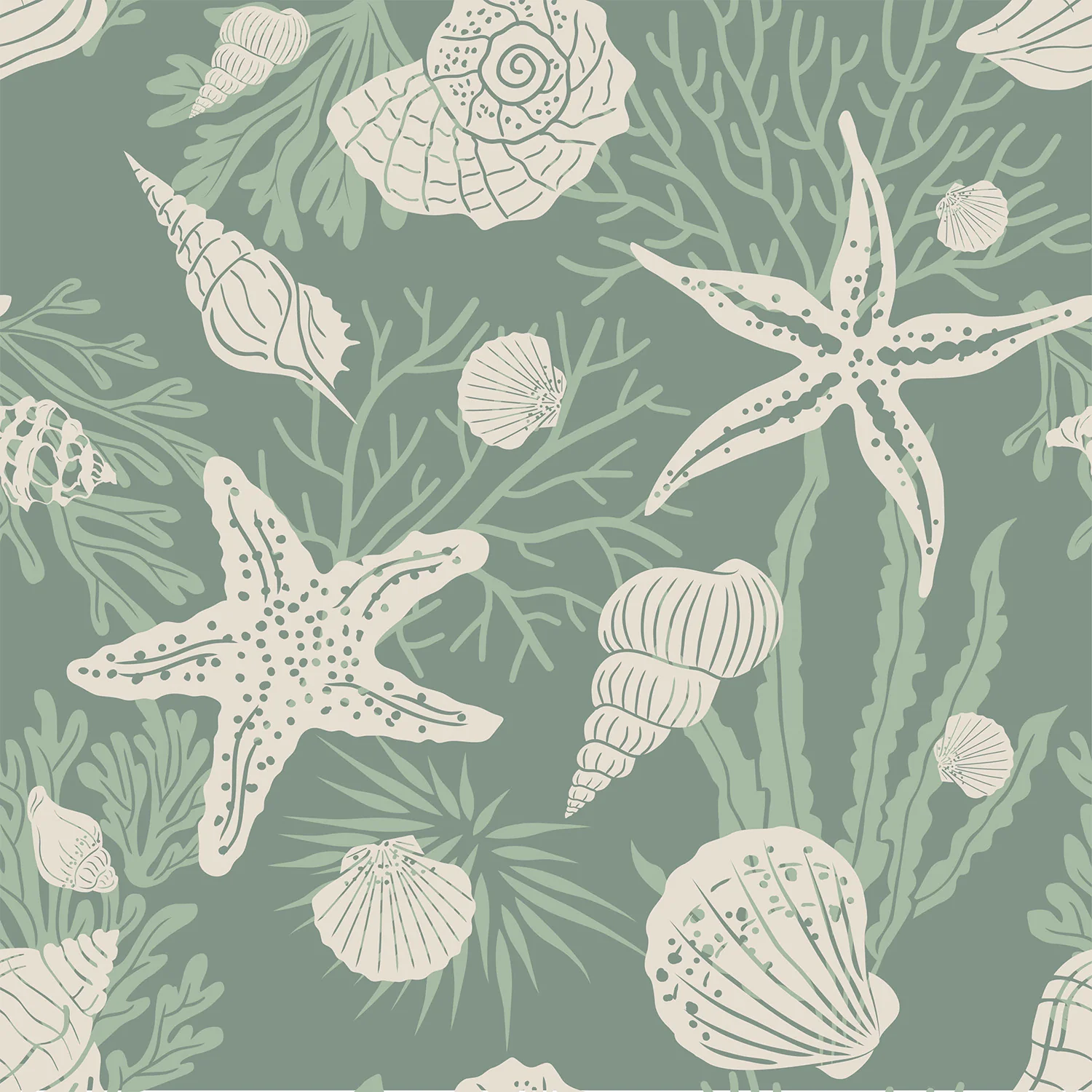 Shells Jade