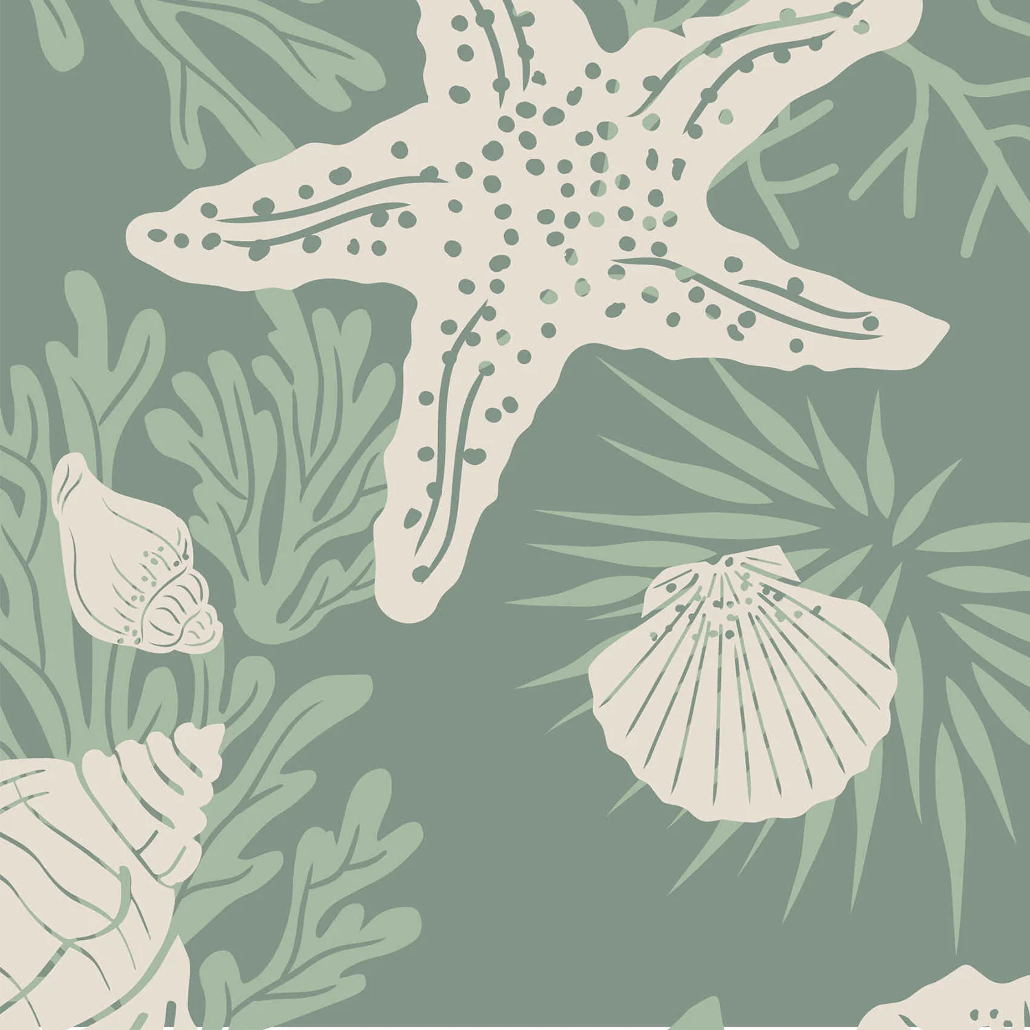 Shells Jade - Image 4
