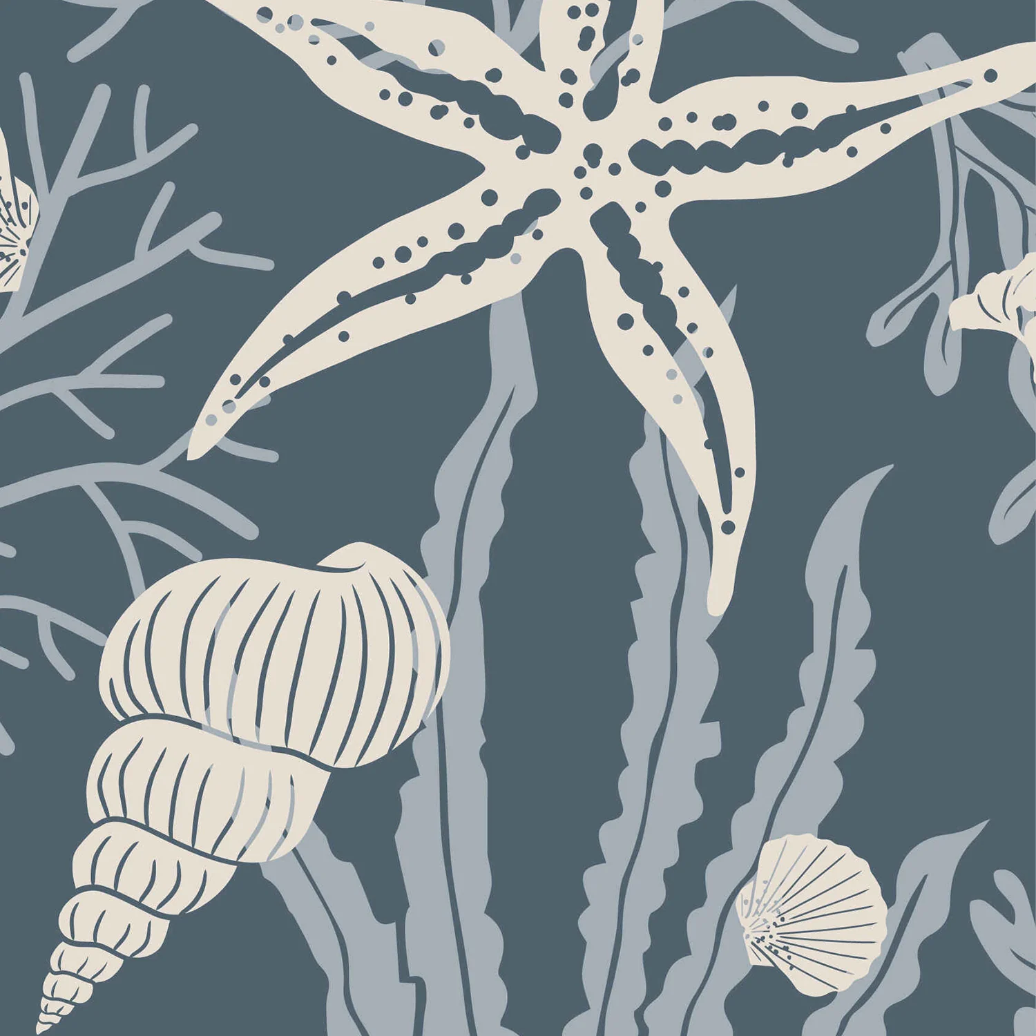 Shells Sapphire - Image 3