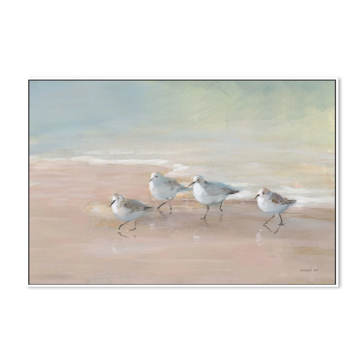 Shorebirds On The Sand - Image 5