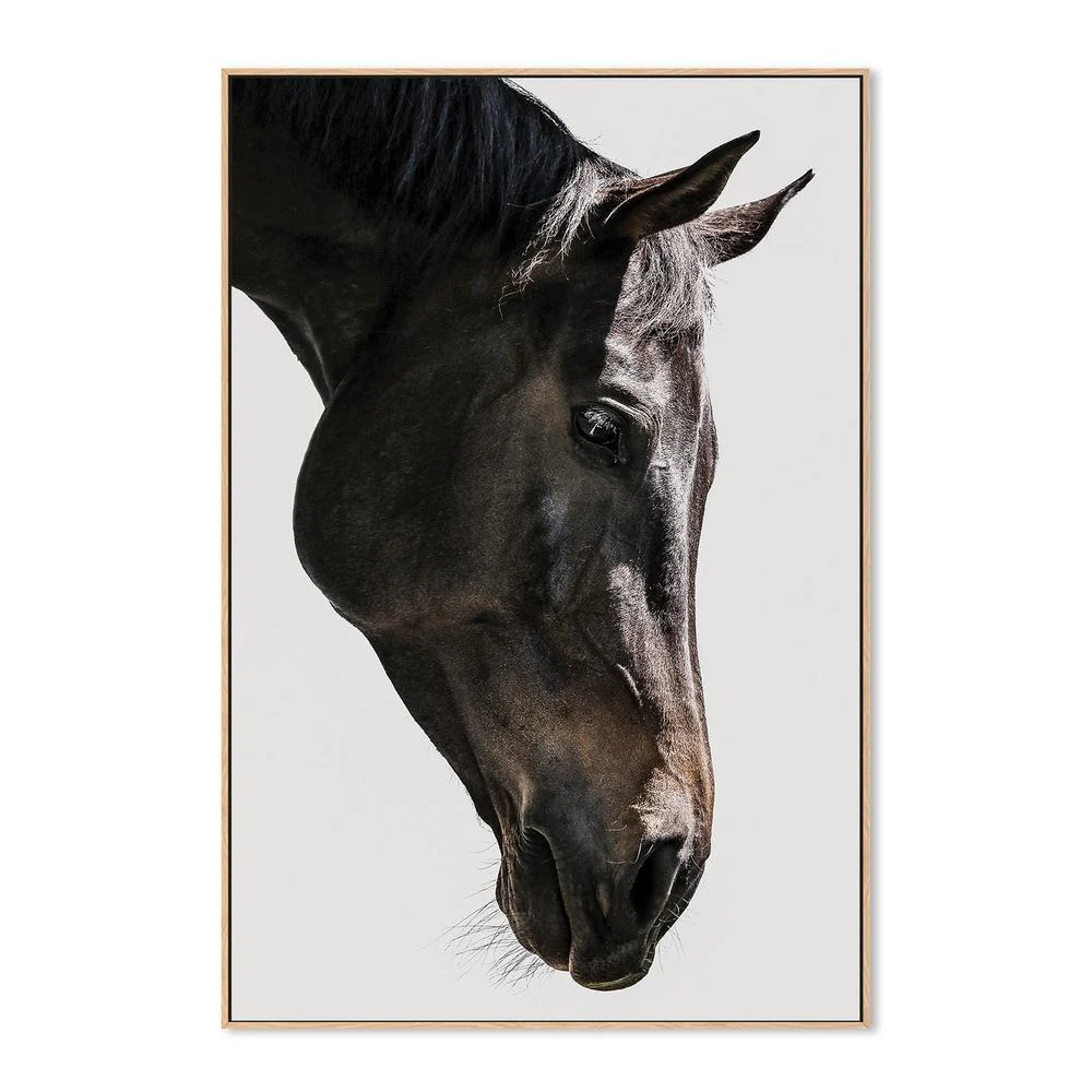 Gentle Equine Gaze - Image 4