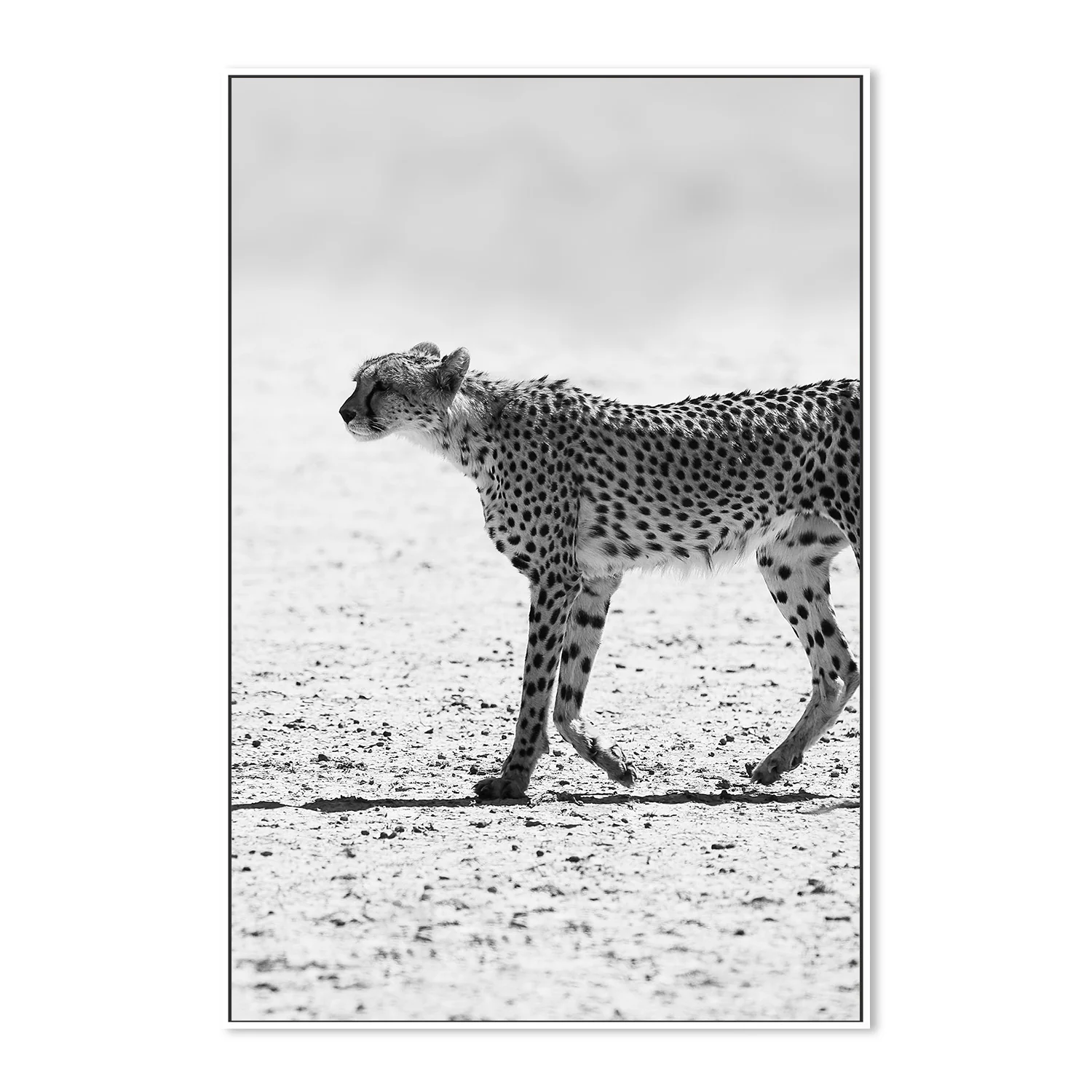 Silent Pursuit - Image 5