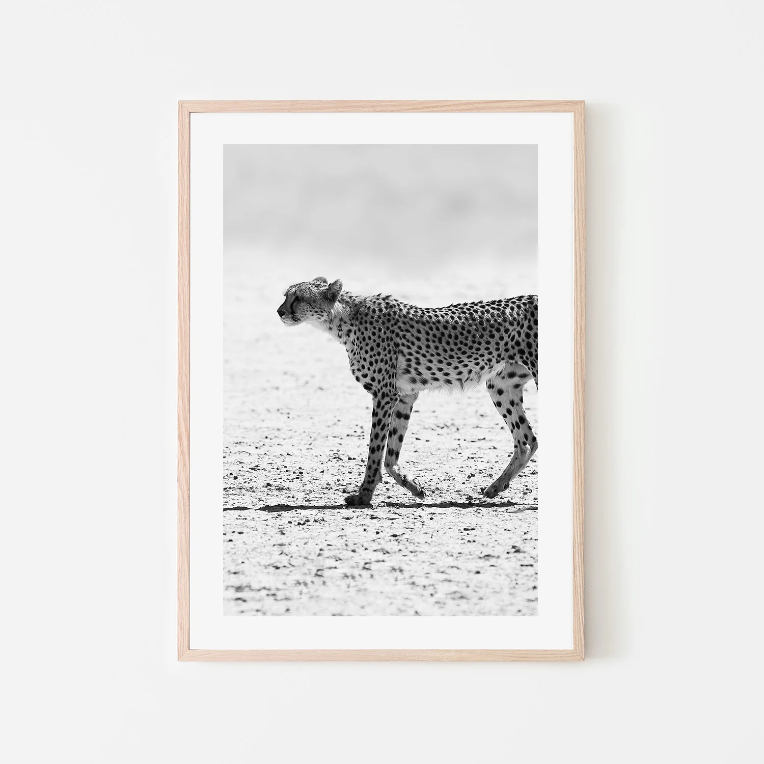 Silent Pursuit - Image 6