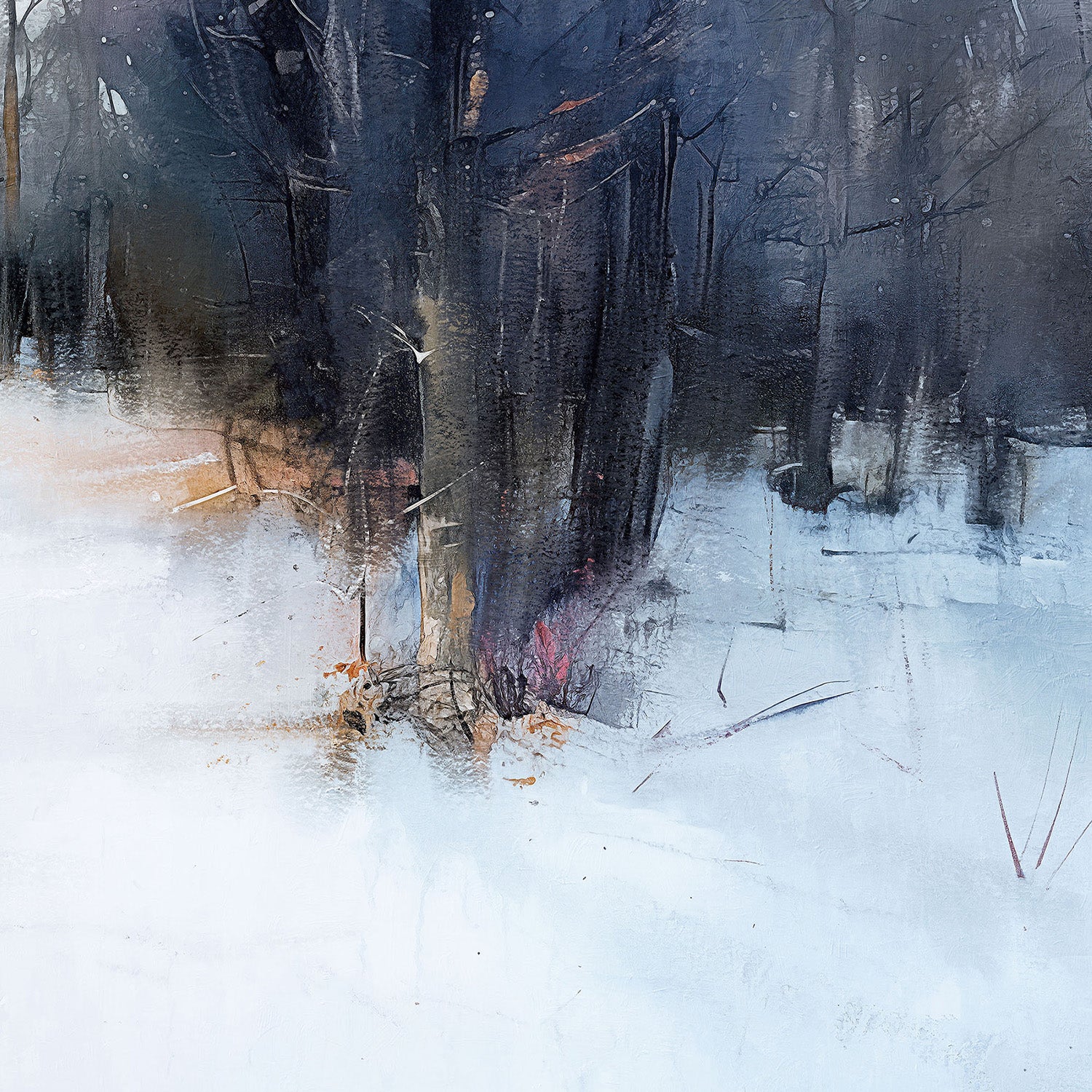 Silent Forest - Image 11