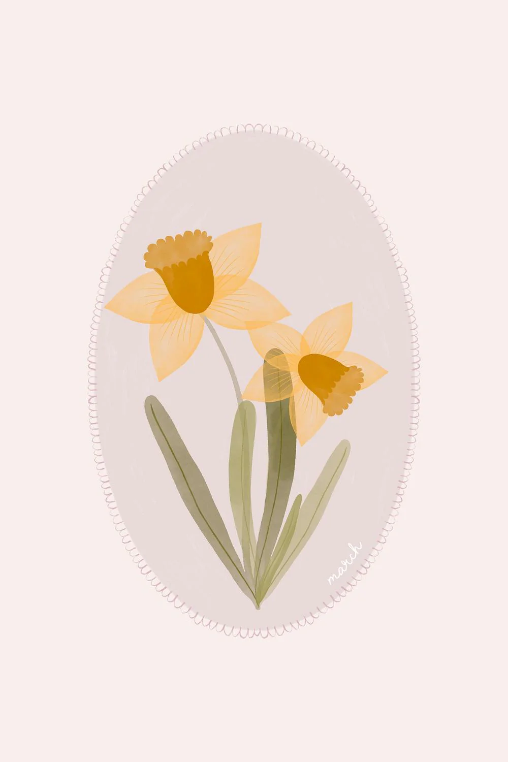 Soft Spring Daffodils