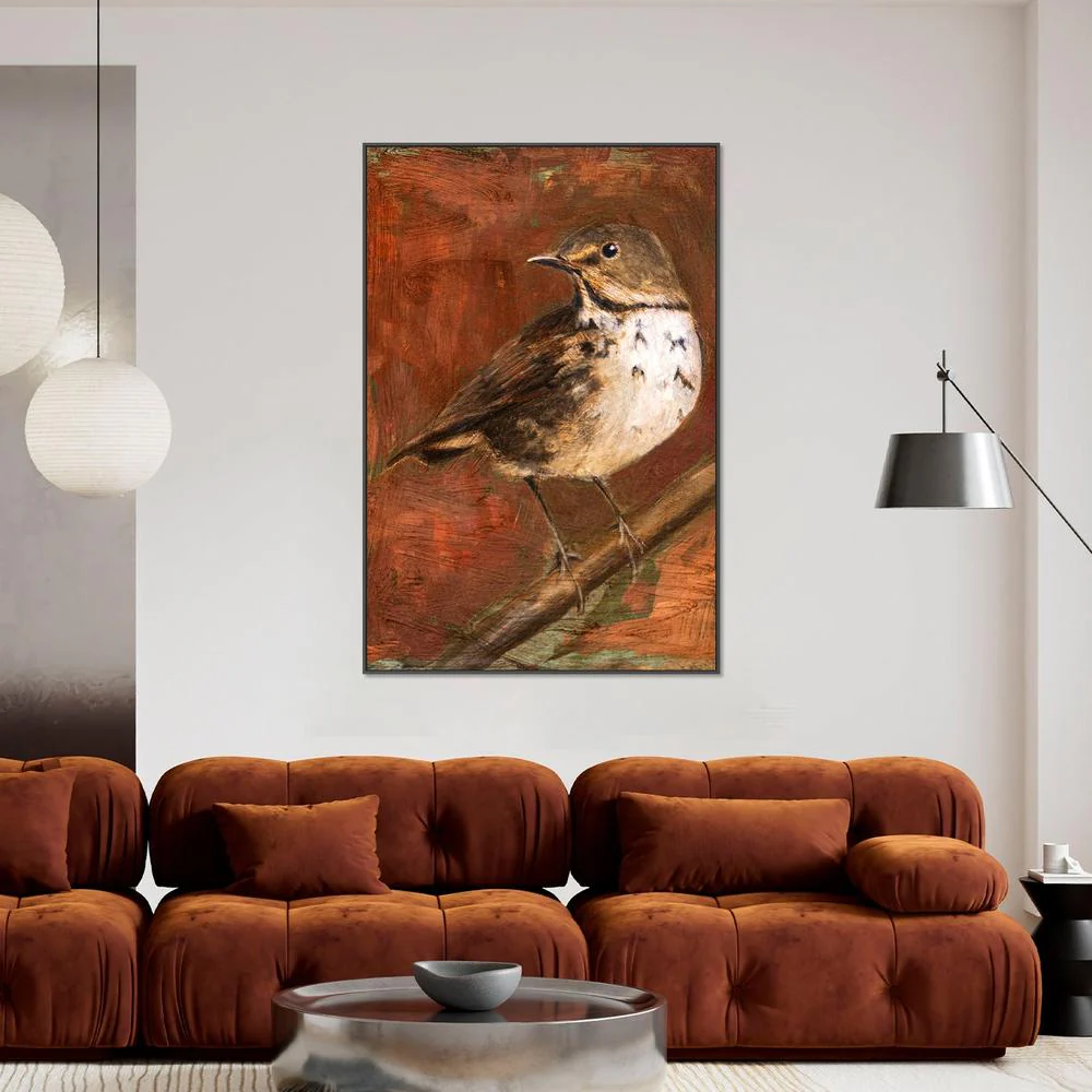 Speckled Thrush Perched - Image 2