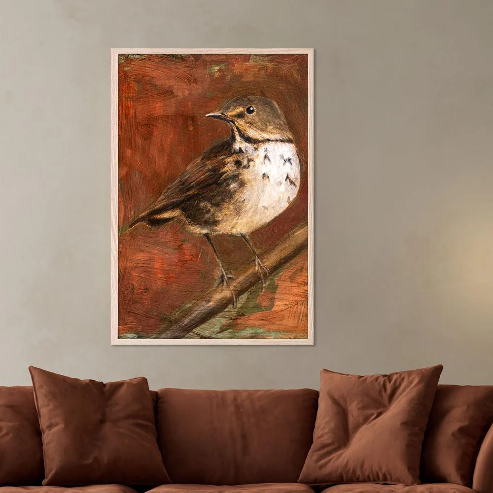 Speckled Thrush Perched - Image 7