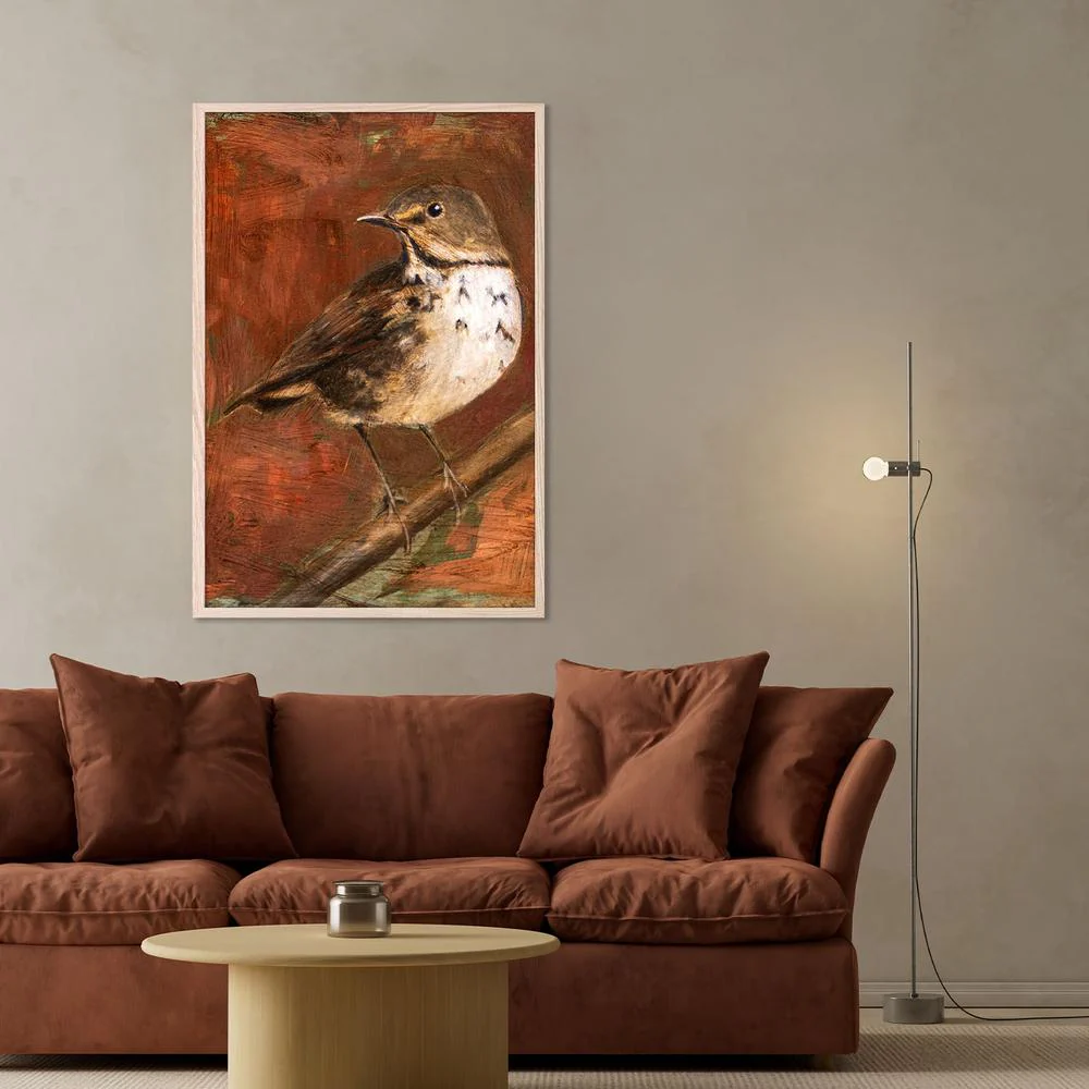 Speckled Thrush Perched - Image 8