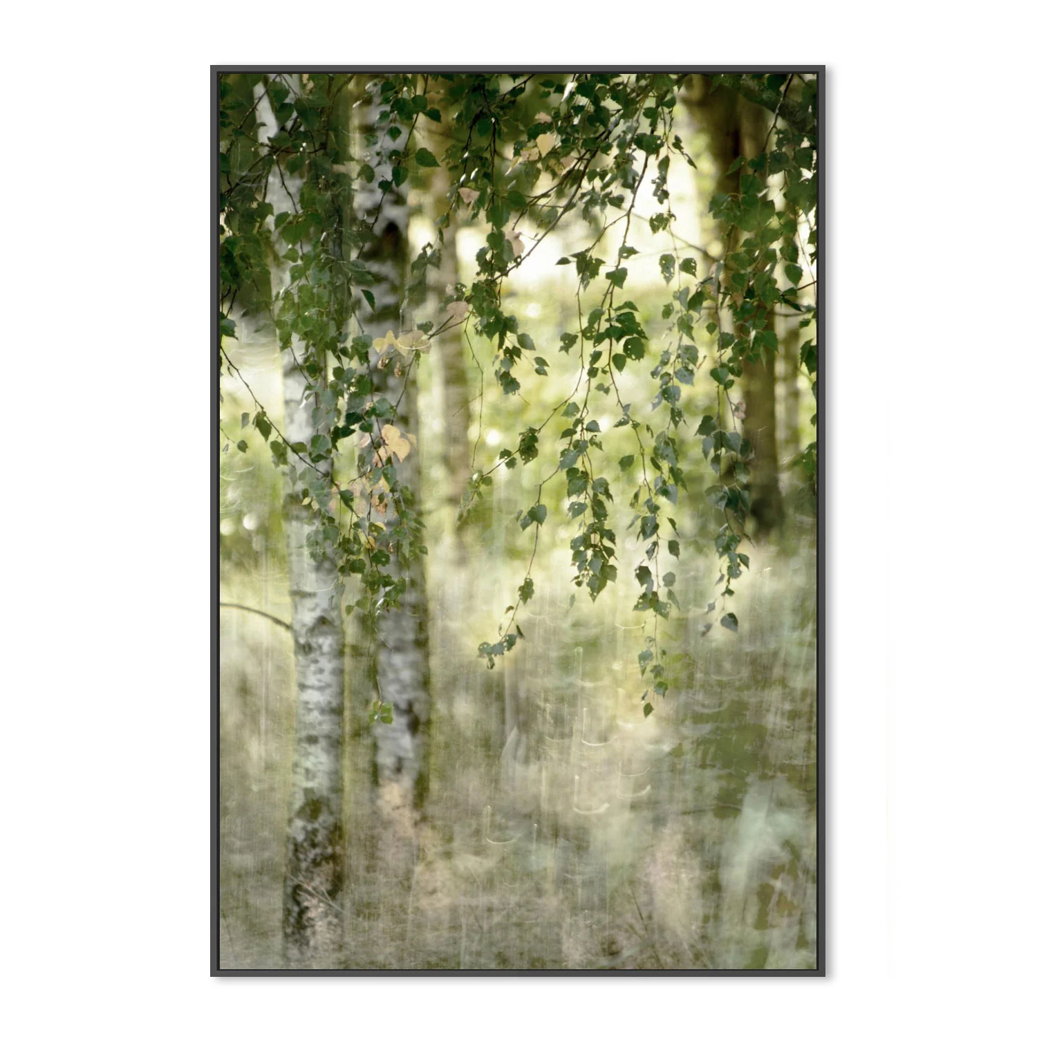 Spring birch - Image 3