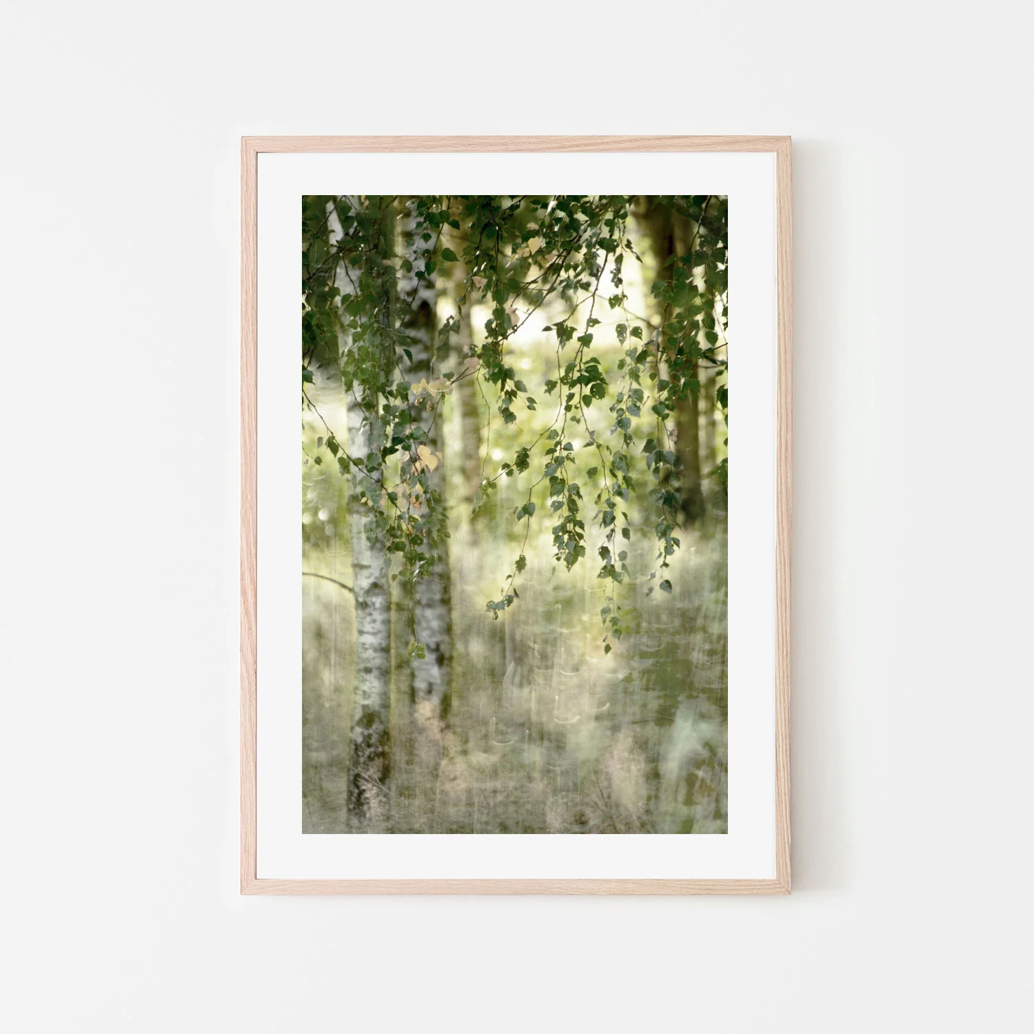 Spring birch - Image 6