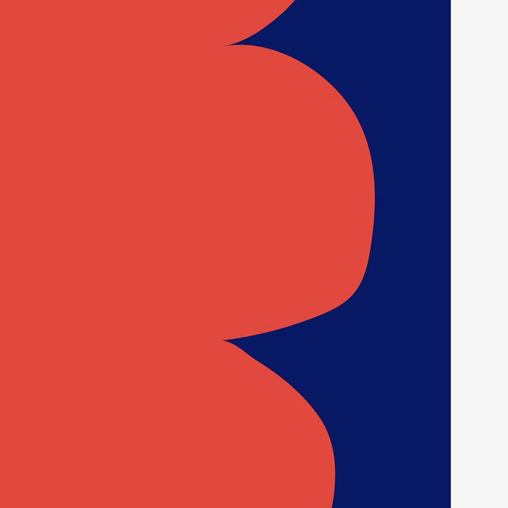 Stacked Red Blue Forms - Image 11