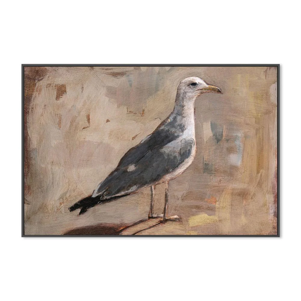 Standing Seagull Portrait - Image 3