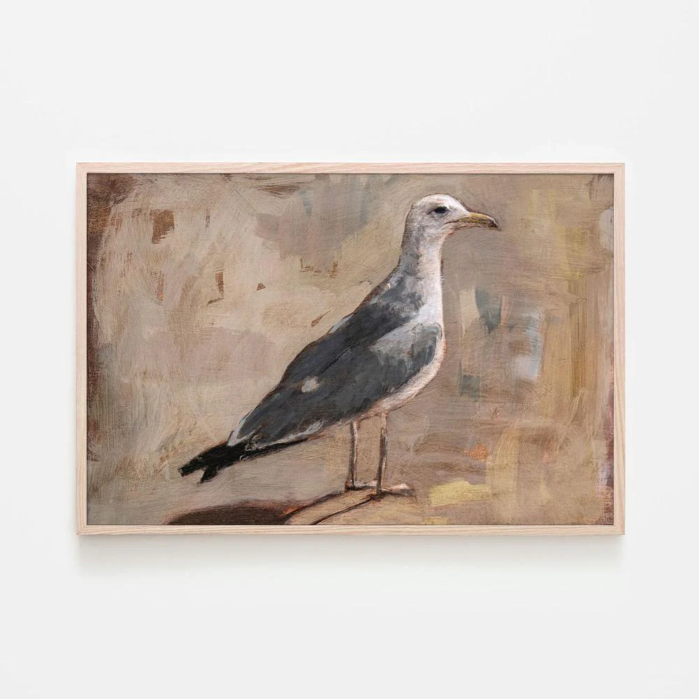 Standing Seagull Portrait - Image 6