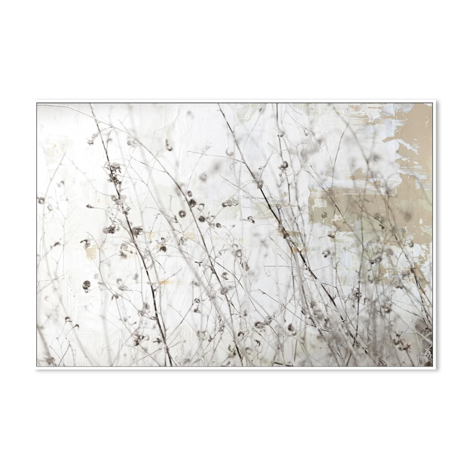 Still Wild, Style A - Image 5