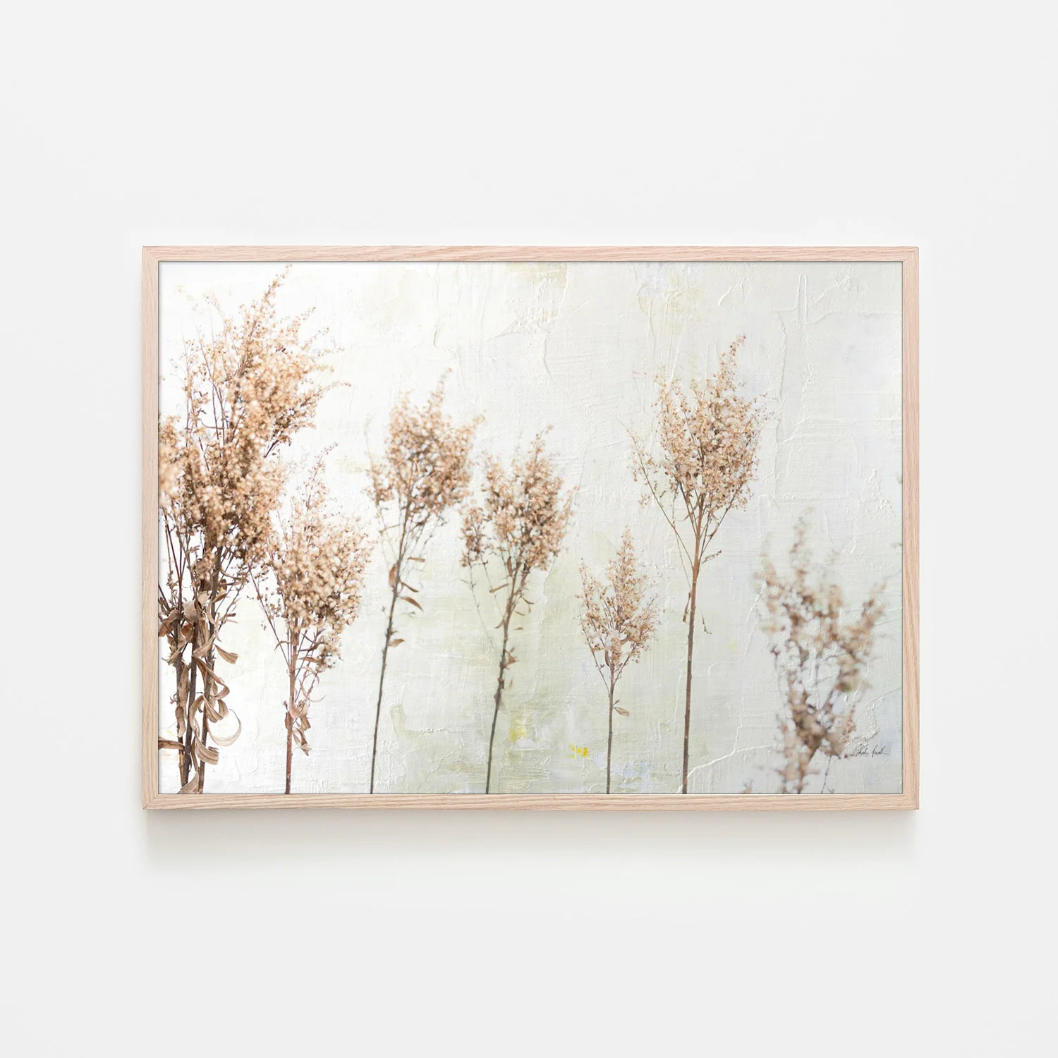 Still Wild, Style B - Image 6
