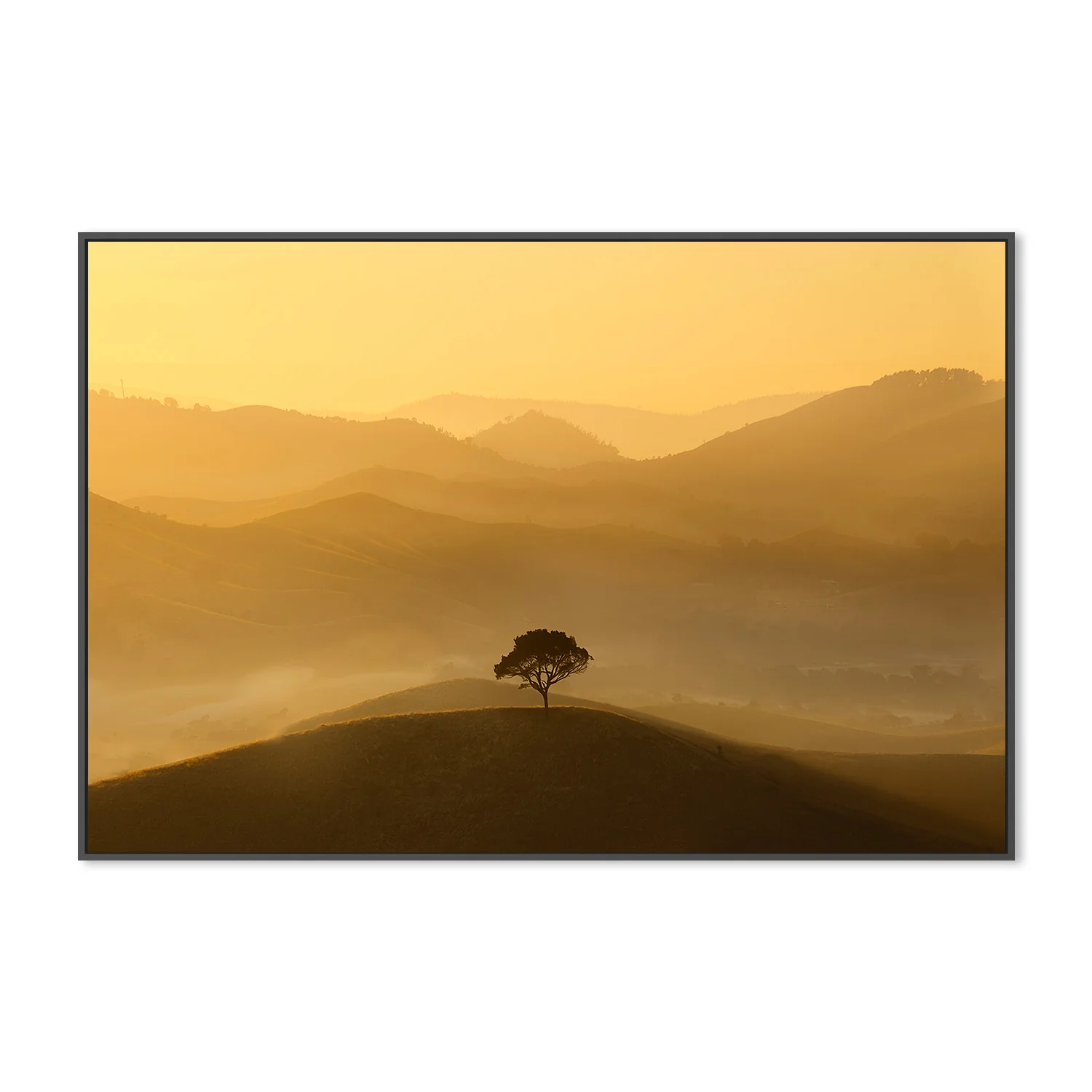 Strathbogie Ranges, Victoria - Image 3