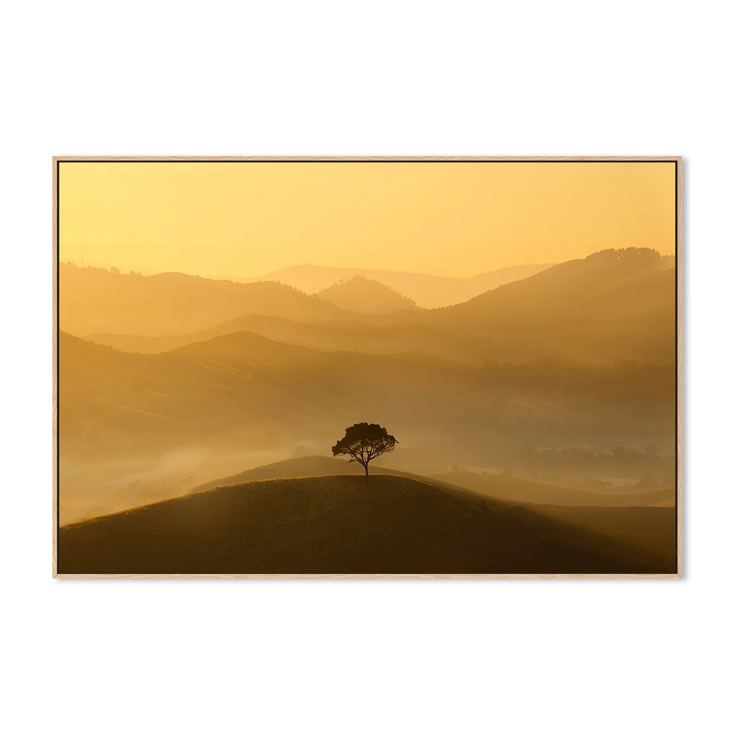 Strathbogie Ranges, Victoria - Image 4