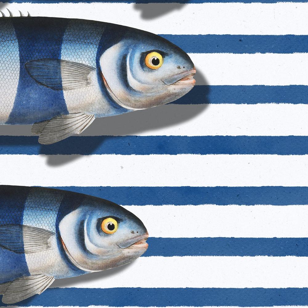 Striped Ocean Fish - Image 11
