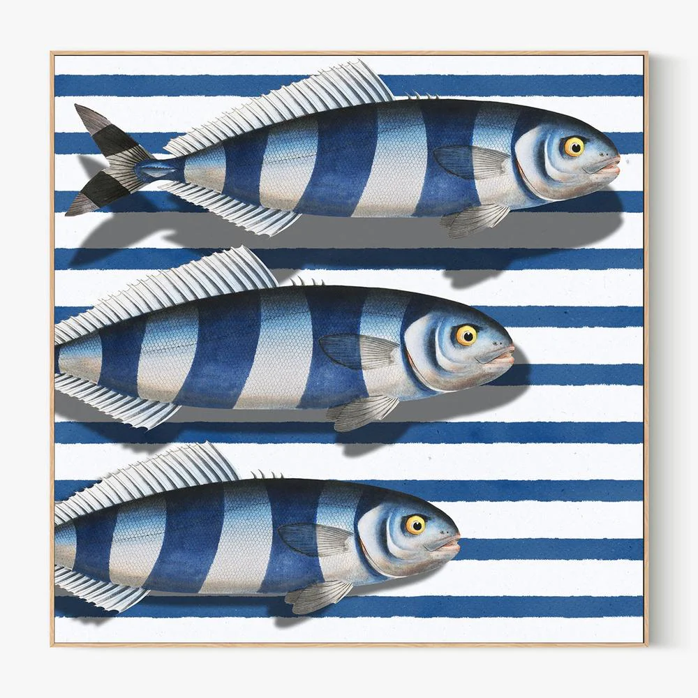 Striped Ocean Fish - Image 4