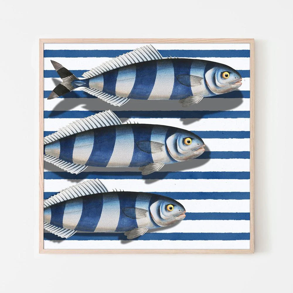 Striped Ocean Fish - Image 6