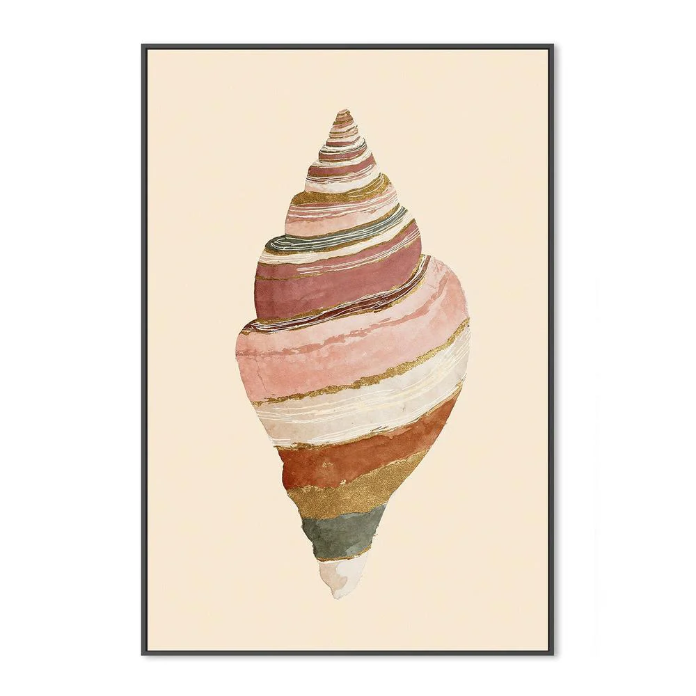 Striped Shell - Image 3