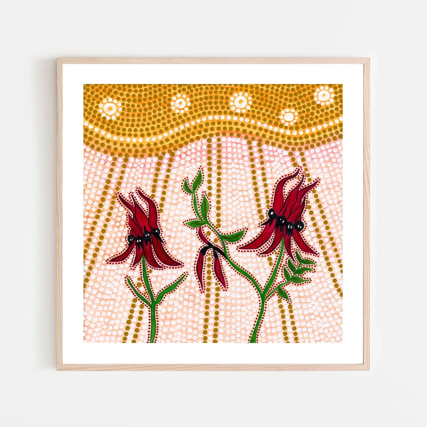 Sturts Desert Peas - Image 6