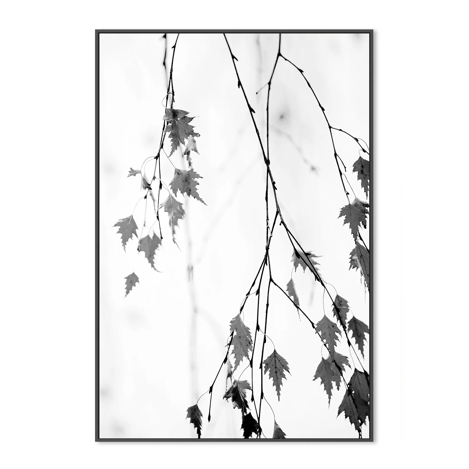Subtle - Image 3