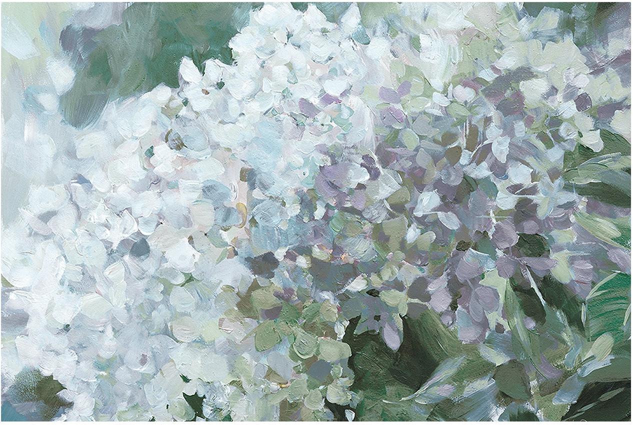 Subtle Shifts Hydrangea