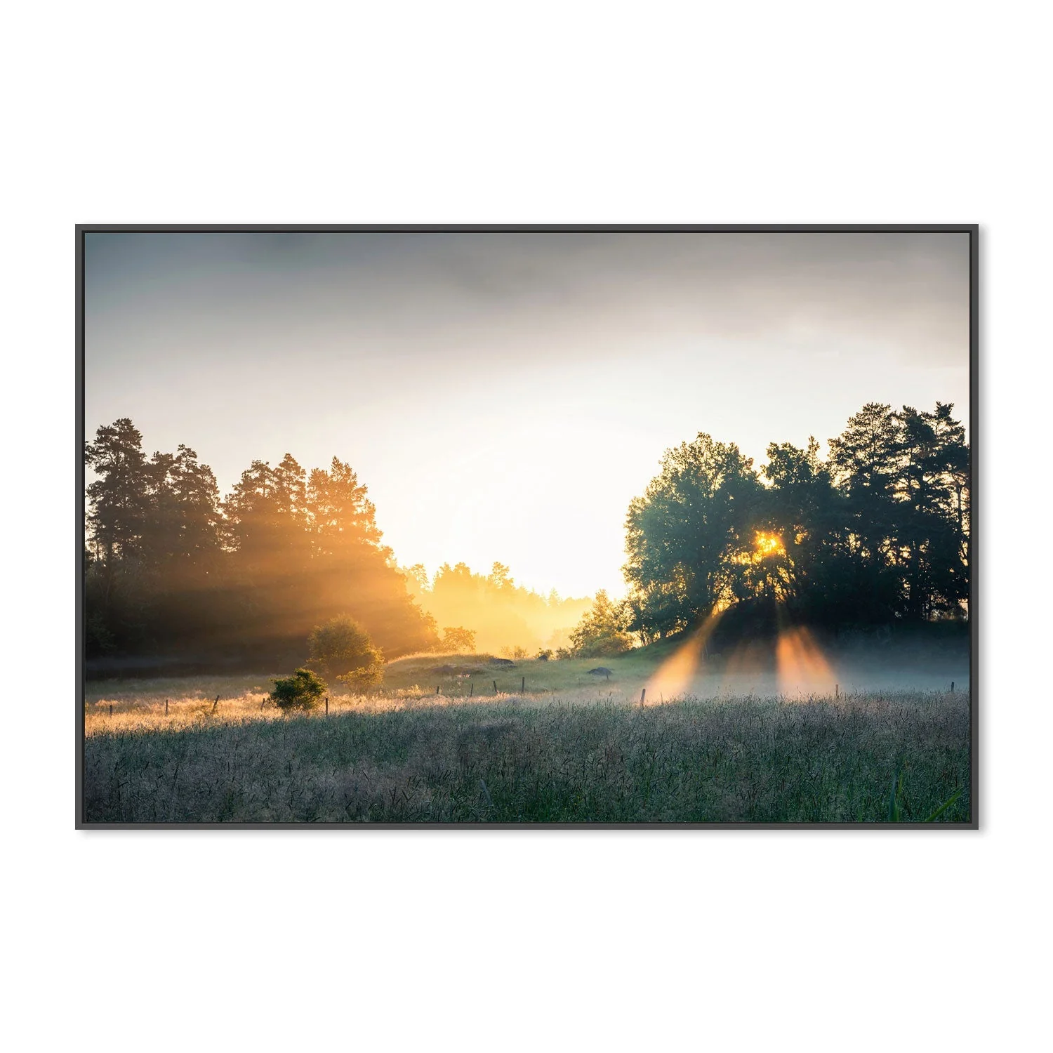 Summer Field - Image 3
