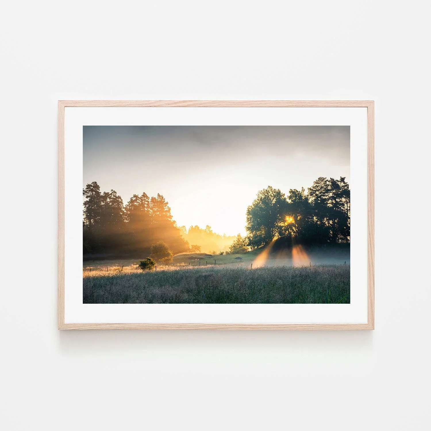 Summer Field - Image 6