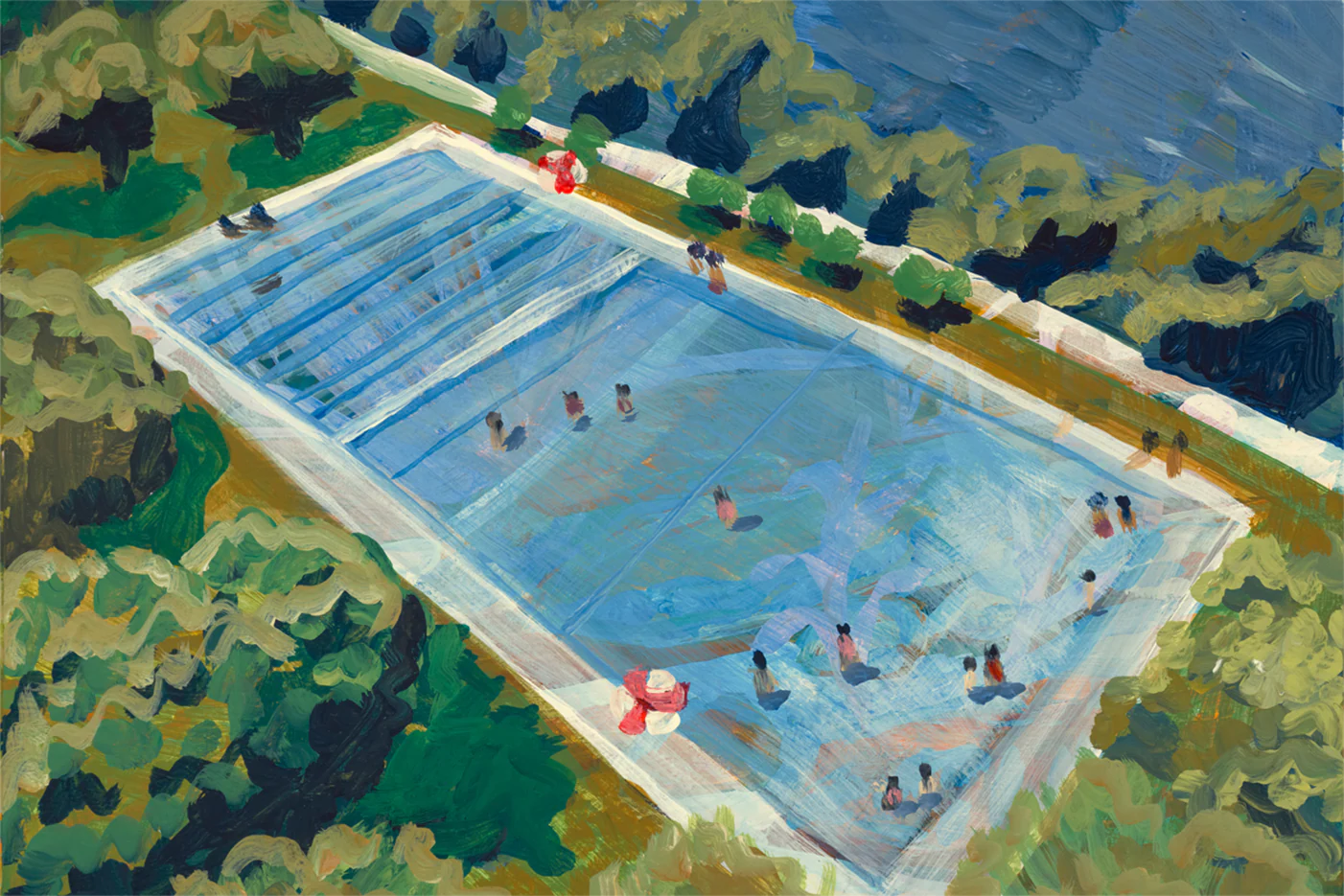 Summer Swim