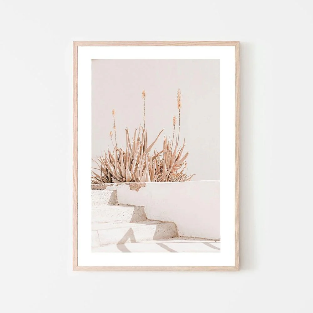 Sun bathing plants - Image 6