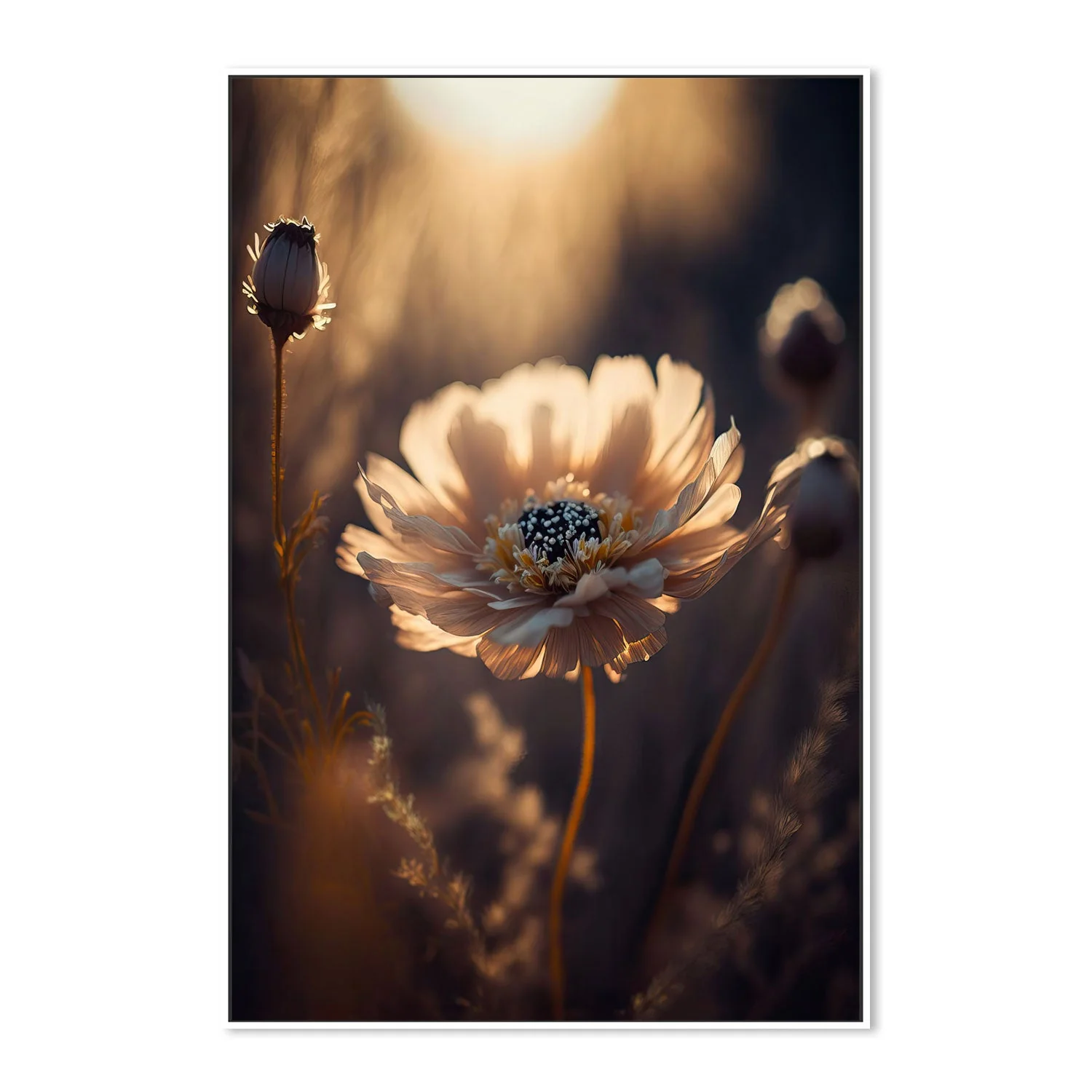 Sunlit Flower - Image 5