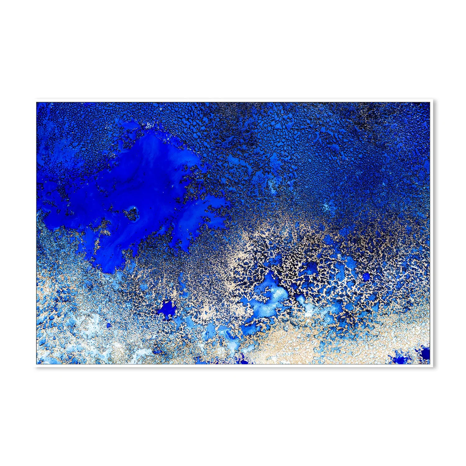 Sunlit Reef - Image 5