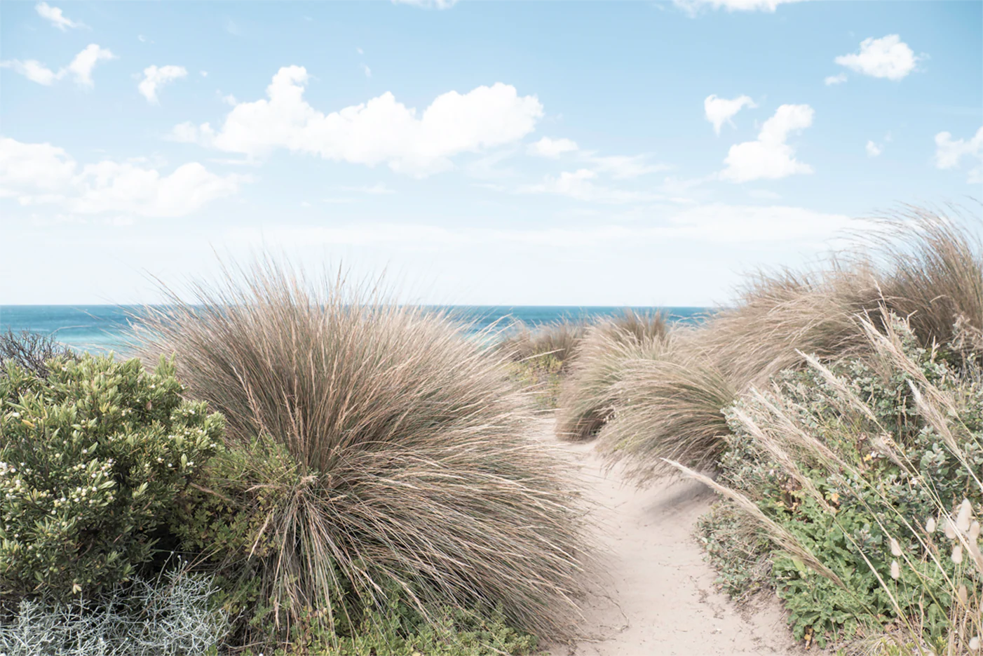 Sunny Days By The Beach