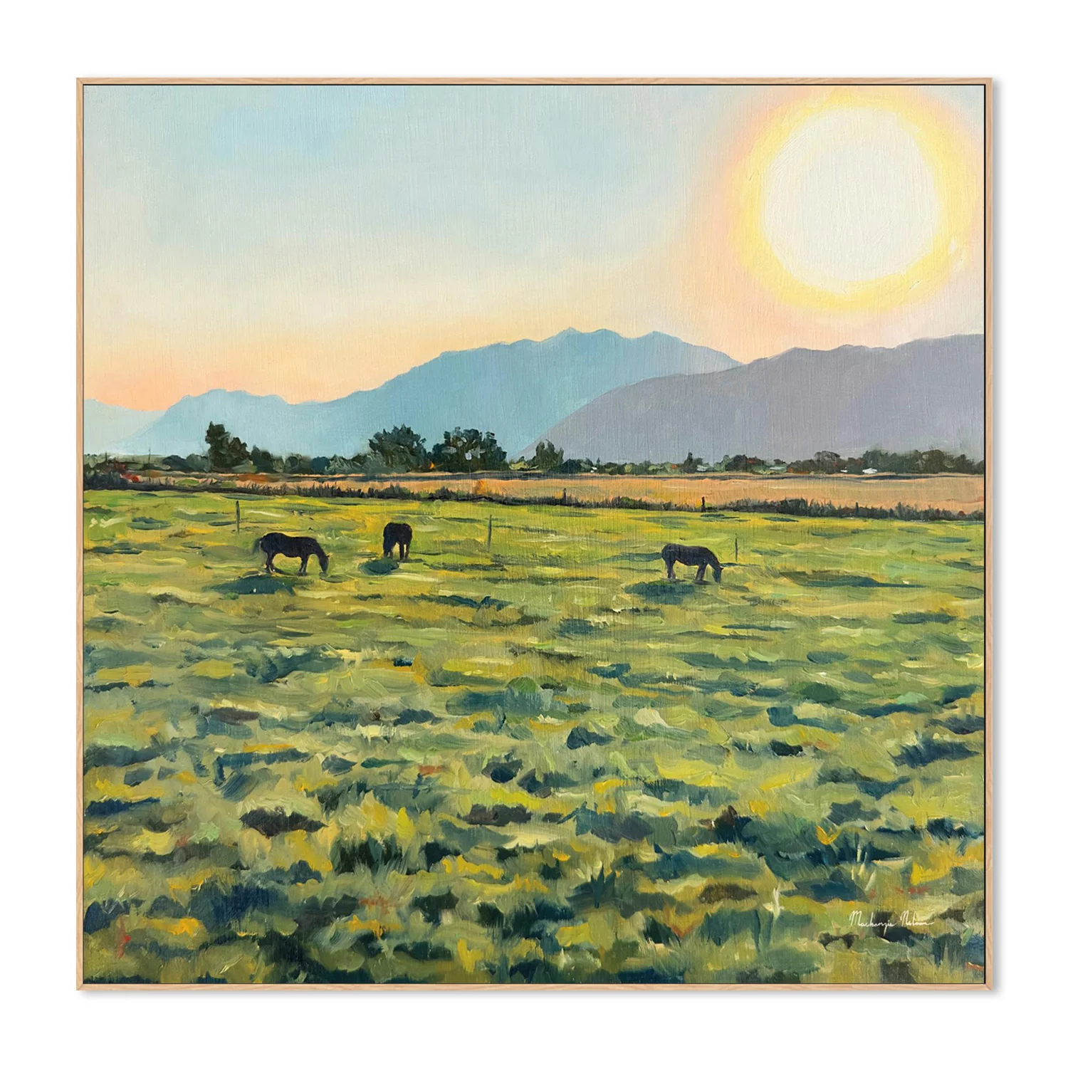 Sunrise - Image 4