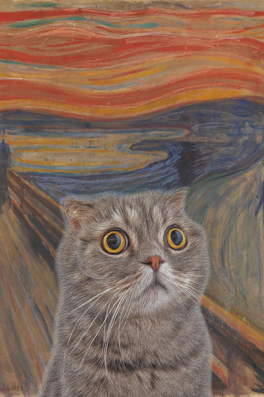Surprised Cat Parody