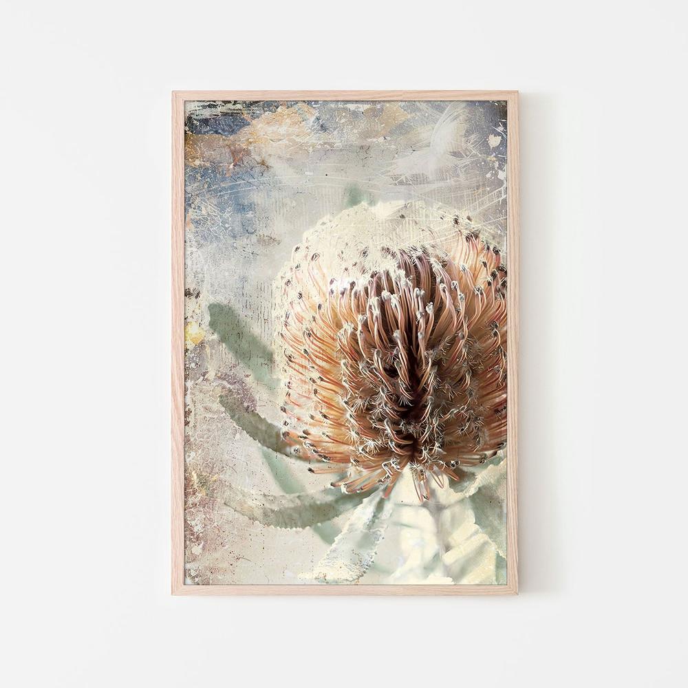 Textured Banksia Flower - Image 6