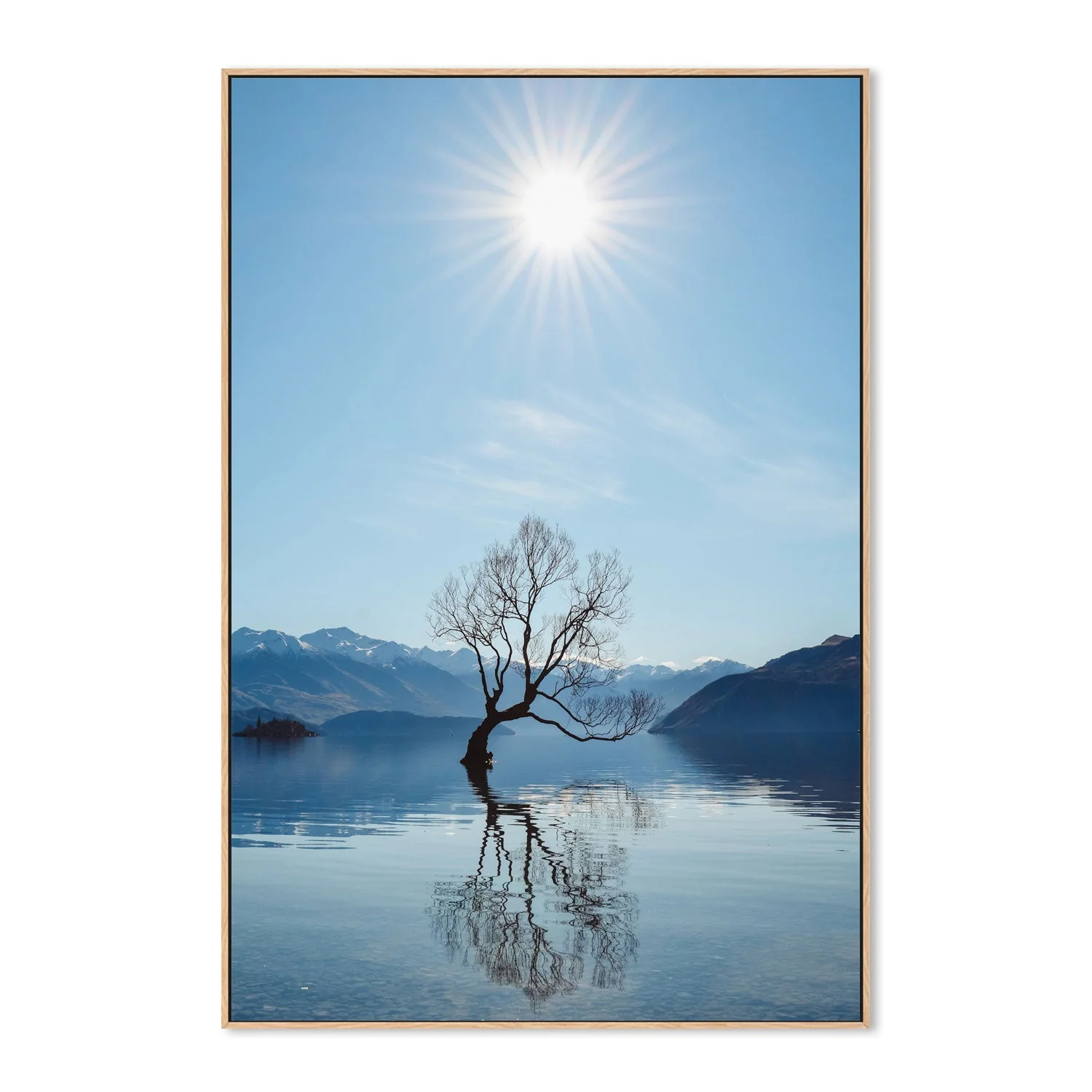 That Wānaka Tree, New Zealand - Image 4
