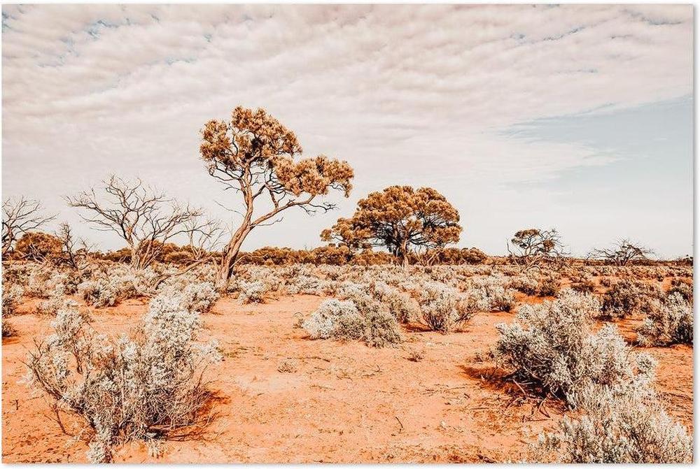 The Red Center, Desert Outback Australia