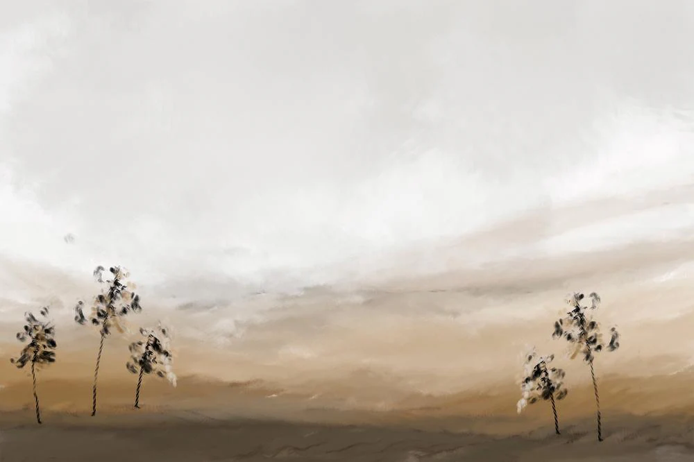 The wind