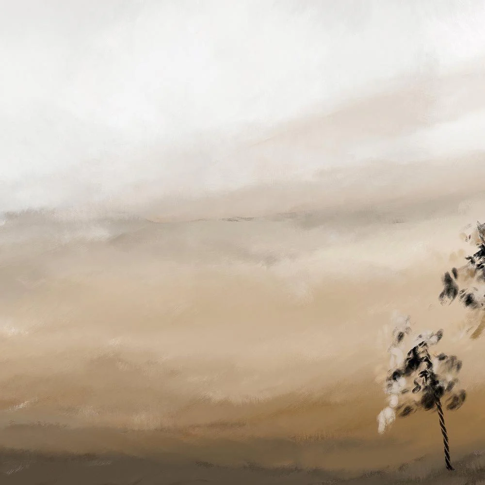 The wind - Image 11