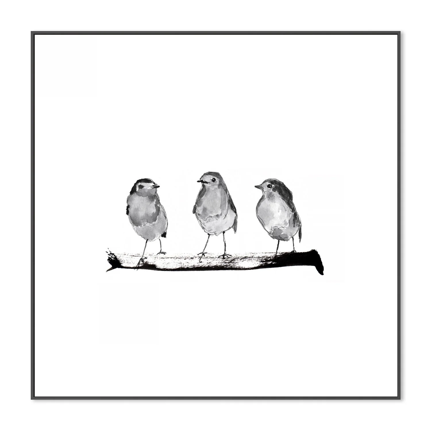 Three Robins On A Branch - Image 3