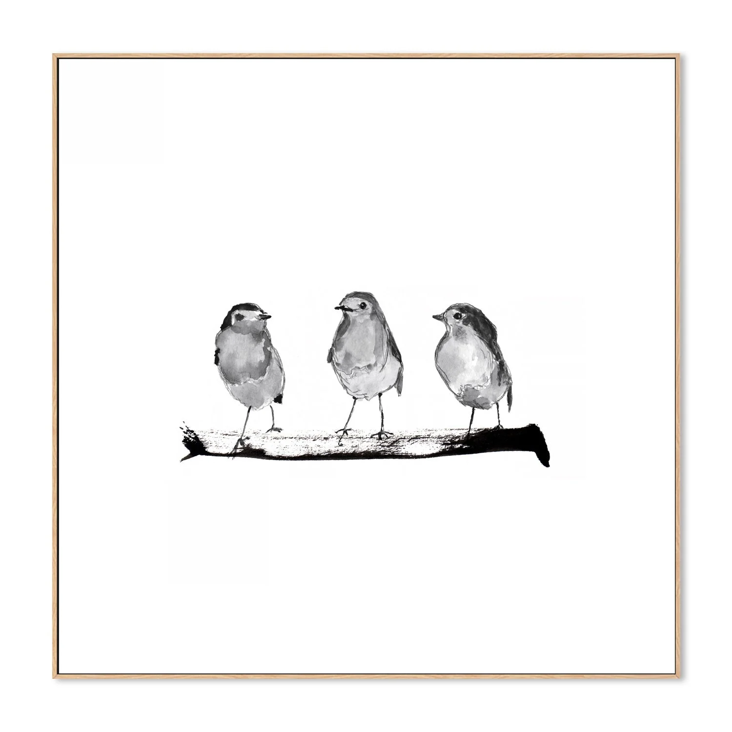 Three Robins On A Branch - Image 4