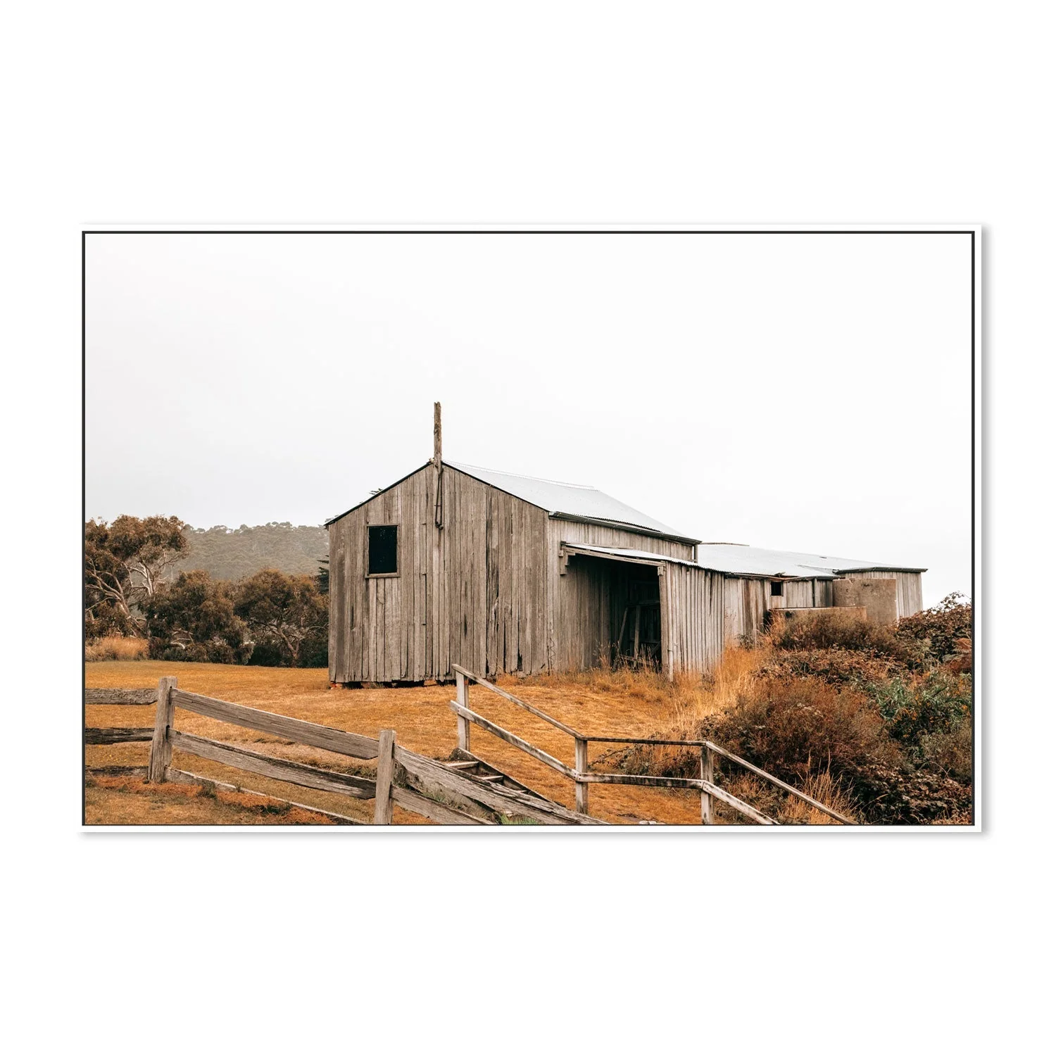 Timber Beach Shack, Eaglehawk Neck, Tasmania - Image 5