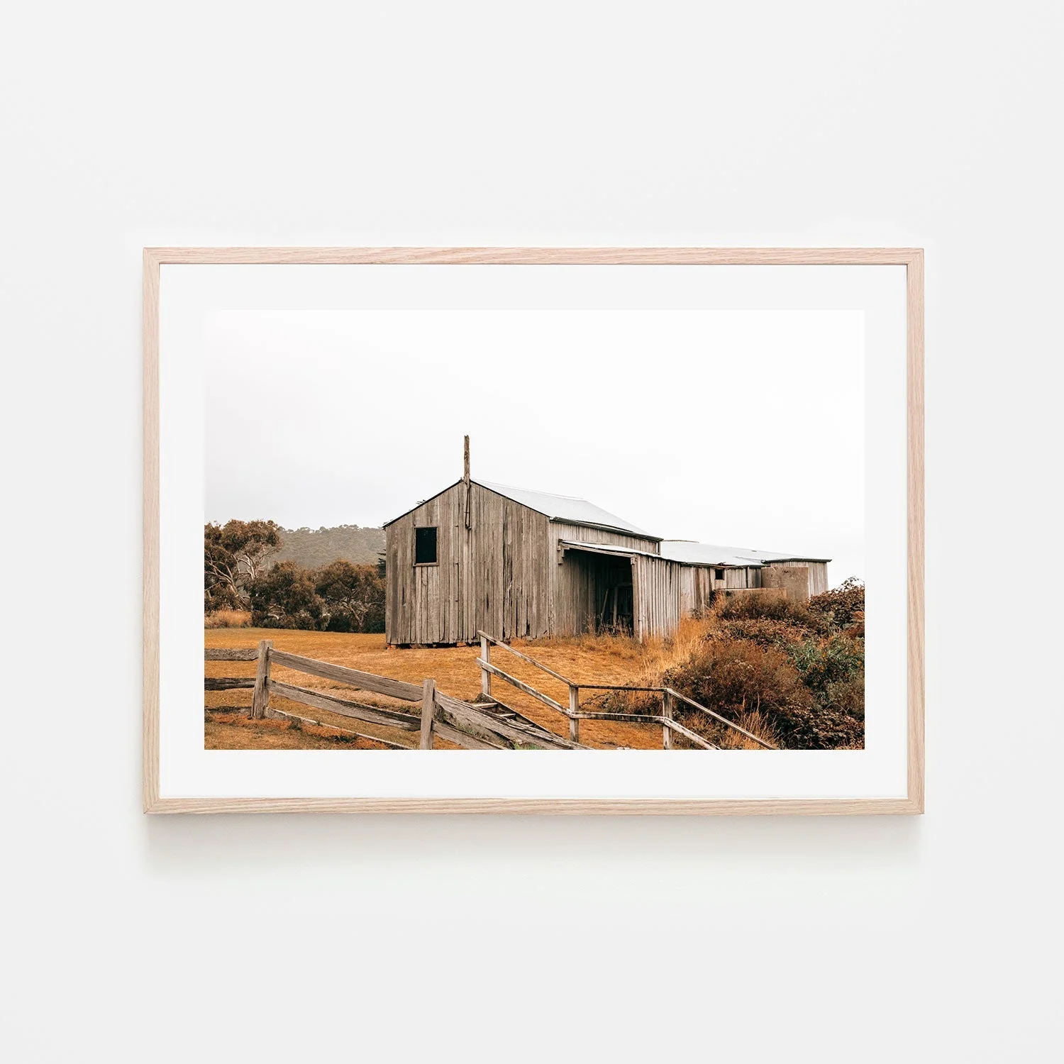 Timber Beach Shack, Eaglehawk Neck, Tasmania - Image 6