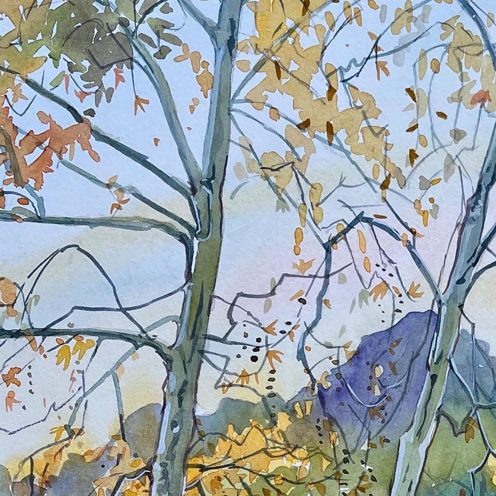Tranquil Autumn River - Image 10