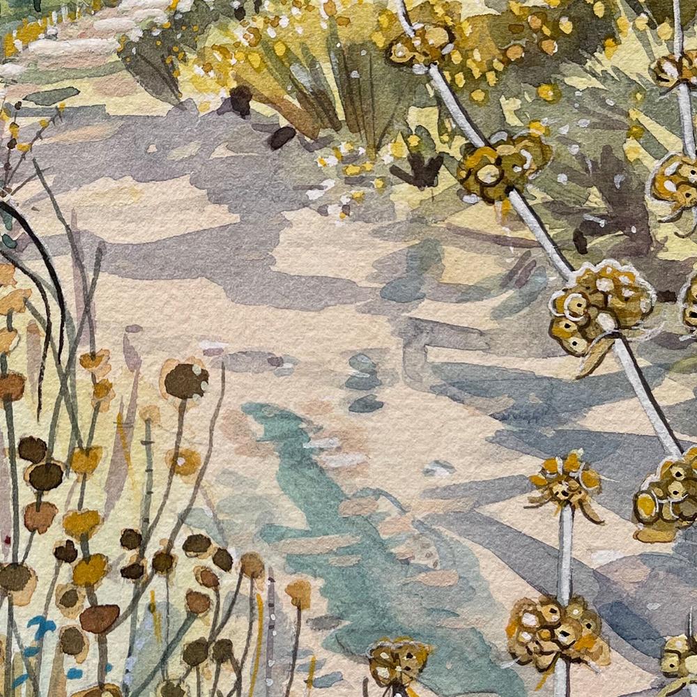 Tranquil Nature Trail - Image 11