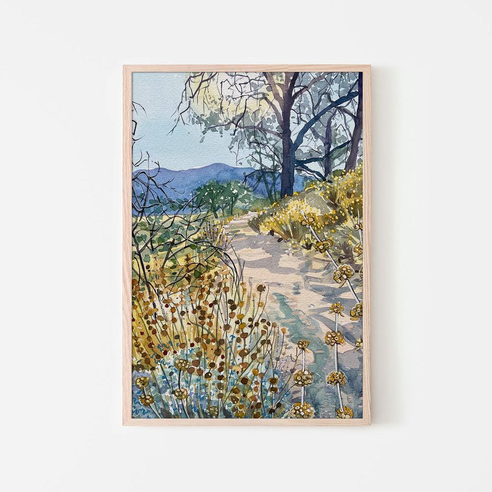 Tranquil Nature Trail - Image 6